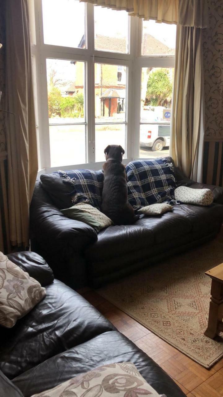 The Fernside Hotell Sandown Eksteriør bilde
